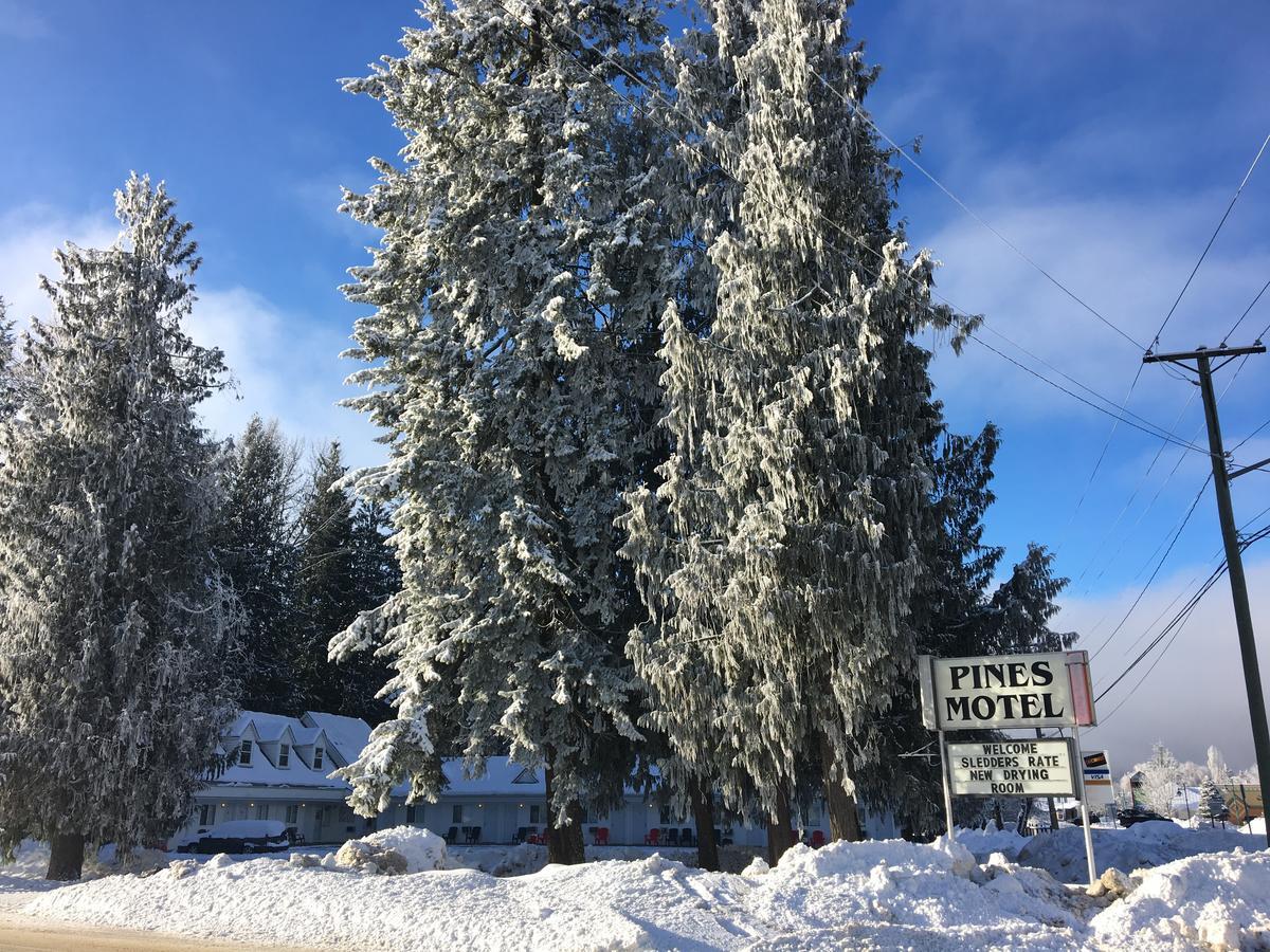 Pines Motel Sicamous Exterior photo